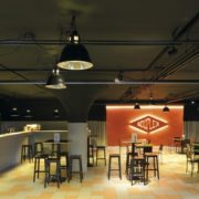 INDUSTRIJSKA VISEČA SVETILKA PARA 380 fi 385 mm E27 160W