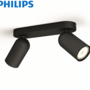KLASIČNA PLAFONJERA DL7-522/31 fi 310 mm E27 2X60W