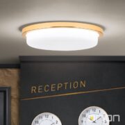 STROPNO STENSKA LED SVETILKA LEROX fi 210 mm 24W 3000K V ŠESTIH BARVAH