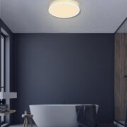 ZATEMNILNA LED SVETILKA SAPANA fi 290 mm 18W 3000K V DVEH BARVAH IP44