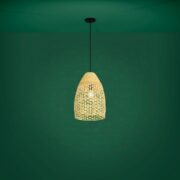 VISEČA SVETILKA SAMBUCONA fi 350 mm E27 40W