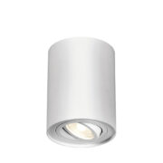 STROPNA SPOT SVETILKA GAMA fi 80 mm GU10 V TREH BARVAH