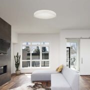 STROPNA LED SVETILKA fi 450 mm 38W 4000K  ČRNA ALI BELA