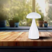 AKUMULATORSKA NAMIZNA TOUCH ZATEMNILNA LED SVETILKA 1W 3000K DO 6000K V TREH BARVAH AKUMULATORSKA NAMIZNA TOUCH ZATEMNILNA LED SVETILKA 1W 3000K DO 6000K V TREH BARVAH