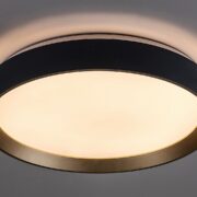 STROPNA LED SVETILKA LIATRIS 385 mm 24W 3000K