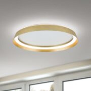 ZATEMNILNA STROPNA DIREKTNO-INDIREKTNA LED SVETILKA MANTA fi 450 mm 38W 2700K DO 4000K ČRNA ALI ZLATA