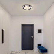 LED SVETILKA DAVIES fi 340 mm 24W 4000K KRISTAL EFEKT