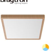 LED SVETILKA JADE 400X400 mm 36W 3000K DO 6500K IP40 V TREH BARVAH