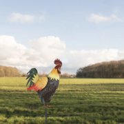 SOLARNA VBODNA LED SVETILKA 1000 mm 0,024W 3000K PETELIN