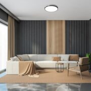 ZATEMNILNA LED SVETILKA MALIN fi 400 mm 24W 3000K DO 6000K Z DALJINSKIM UPRAVLJANJEM