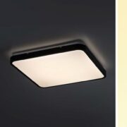 LED SVETILKA ALENZO 290X290 mm 24W 3000K DO 6000K BELA ALI ČRNA IP44