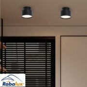 STROPNA LED SVETILKA OLVIDIA fi 110 mm 16W 3000K V DVEH BARVAH