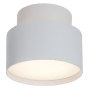 STROPNA LED SVETILKA OLVIDIA fi 110 mm 16W 3000K V DVEH BARVAH