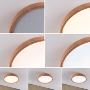 LED SVETILKA OKA fi 360 mm 24W 3000K DO 6500K IP44 V DVEH BARVAH LED SVETILKA OKA fi 360 mm 24W 3000K DO 6500K IP44 V DVEH BARVAH