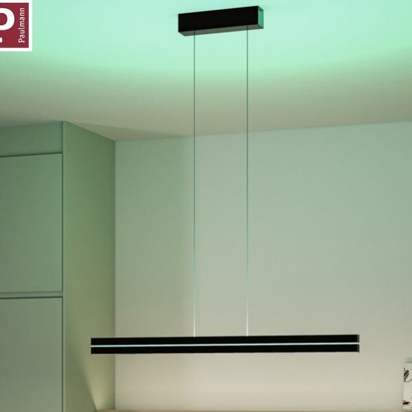 ZATEMNILNA LED SVETILKA RAIKO 19+6W 2700K DO 6500K+RGB V DVEH BARVAH Z DALJINSKIM UPRAVLJANJEM