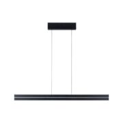 ZATEMNILNA LED SVETILKA RAIKO 19+6W 2700K DO 6500K+RGB V DVEH BARVAH Z DALJINSKIM UPRAVLJANJEM