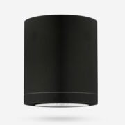 ZUNANJA STROPNA LED SVETILKA LEV 15W IP54 V BELA ALI ČRNA