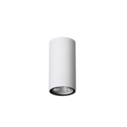 ZUNANJA STROPNA LED SVETILKA CECI fi 55 mm  3W 3000K IP65 ANTRACITNA ALI BELA