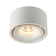 STROPNA LED SVETILKA fi 100 mm 10W BELA ALI ČRNA