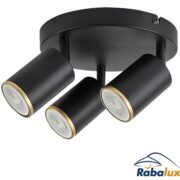 LED SVETILKA ZA SLIKE BEAM THIRTY 290 mm 5W 2700K V DVEH BARVAH
